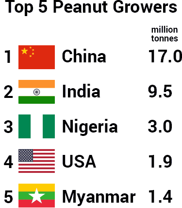 top 5 peanut producing countries in the world