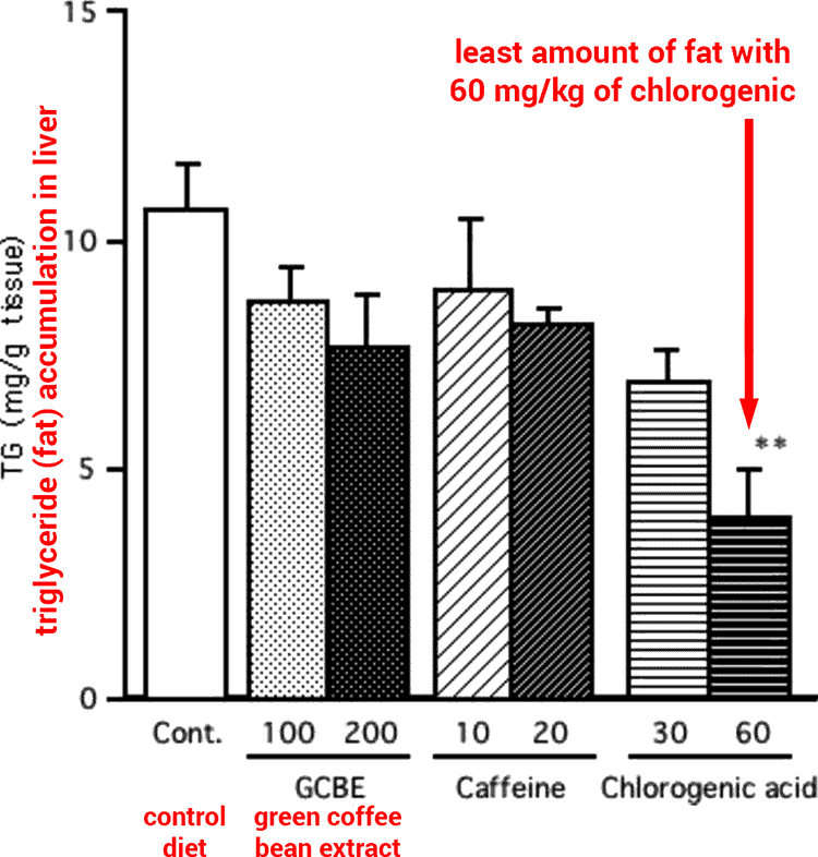 bar graph showing visceral fat reduction from chlorogenic acid supplement