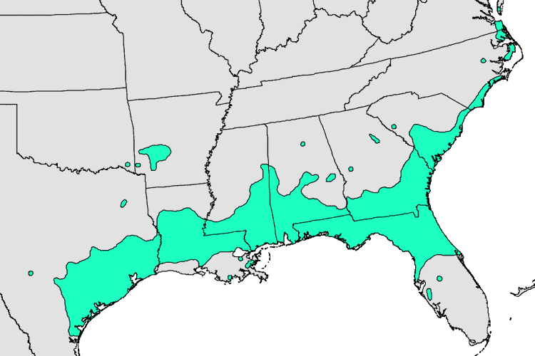 map of where Ilex vomitoria (yaupon holly) grows in the US