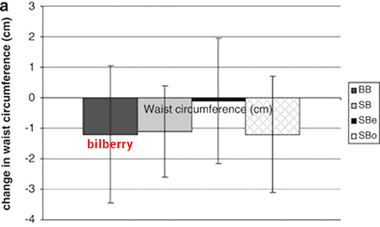 study results showing bilberry for belly fat loss